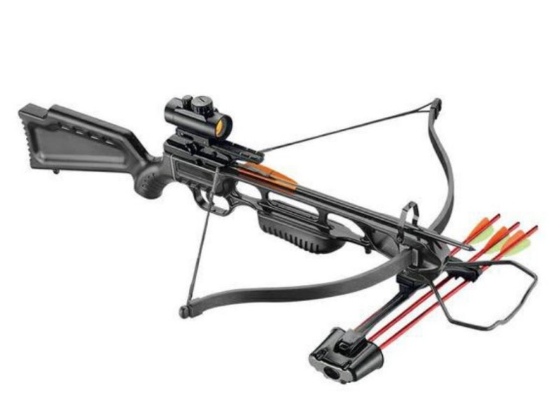 Bogen JAG-1 175 lbs Set RED DOT schwarz