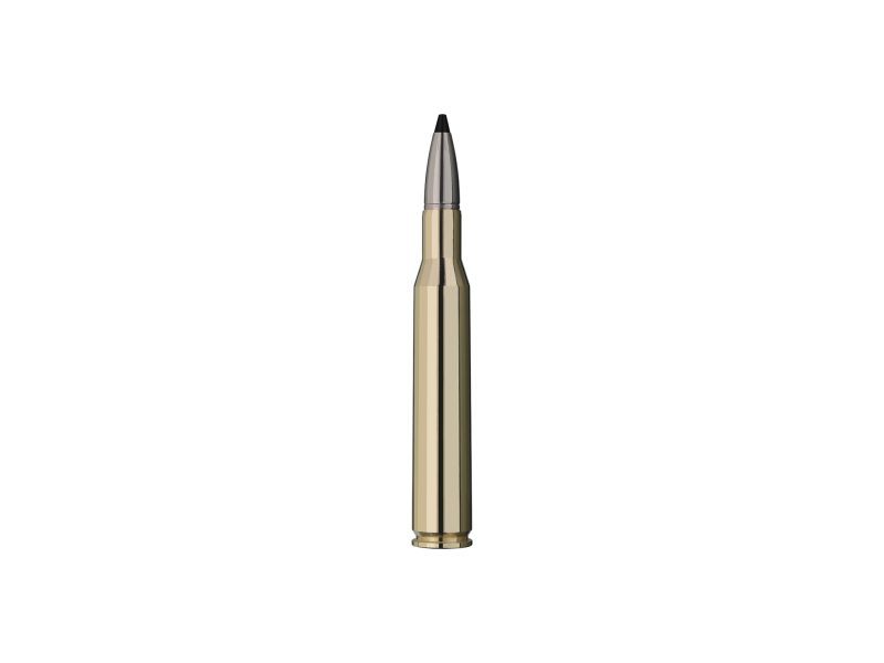 Naboj RWS 270 Win Speed Tip Professional - 9,1g/140gr
