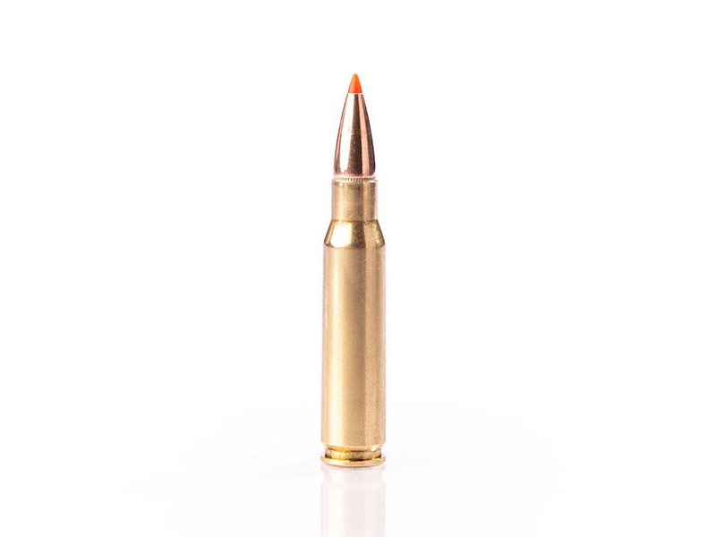 Naboj FIOCCHI 308 win EPN - 11,7g/180gr