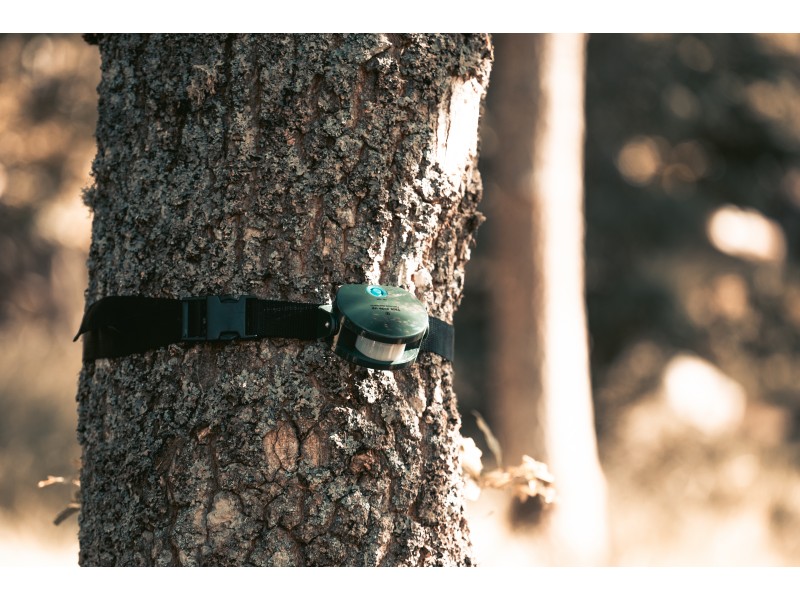 Sensor für Jagd CALIBER HUNTING