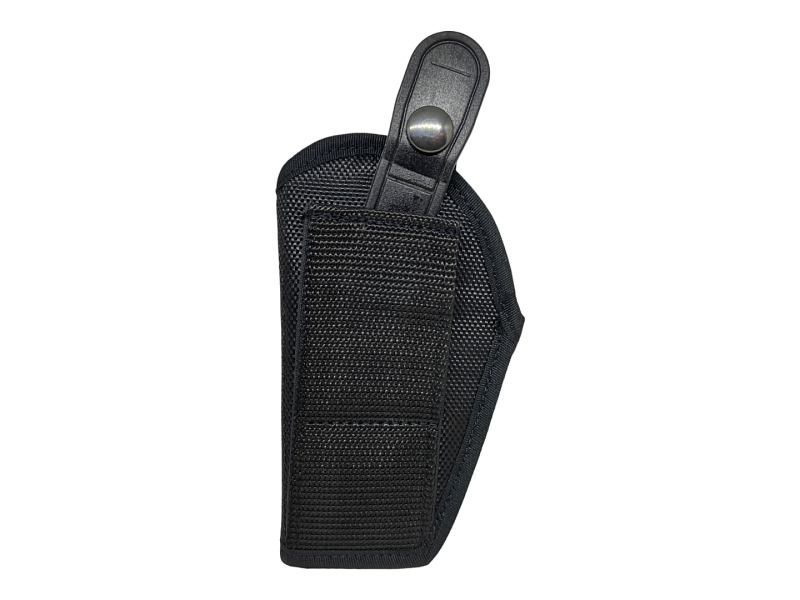 HR 067 pistol case