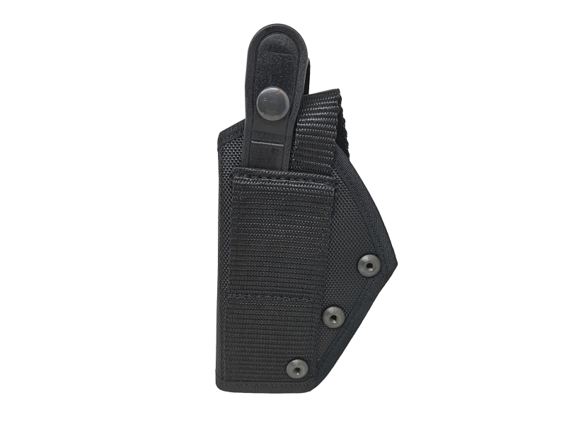 HR 070 pistol case