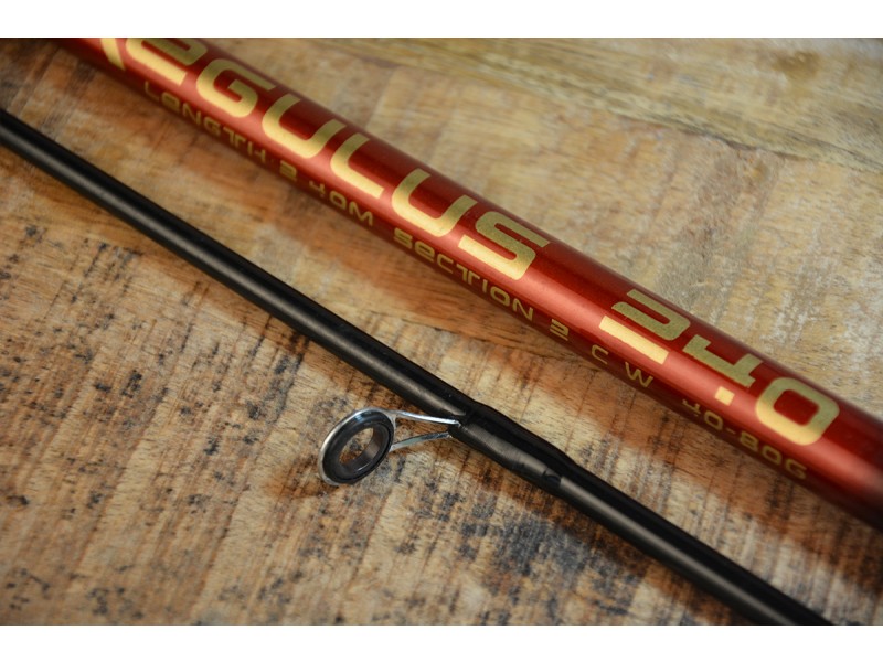 Ribolovna štap REGULUS Arno Rod - 2,40m/40-80g