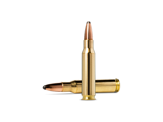 Naboj NORMA 308 Win WHITETAIL - 9,7g/150gr