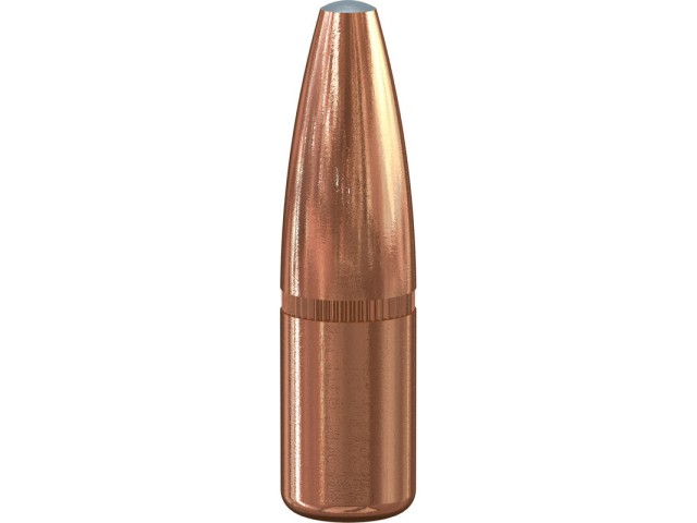 Bullets for filling SPEER Grand Slam Big Game .30/180gr