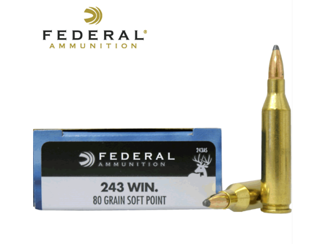 Naboj FEDERAL Power shok 243 win - 5,18g/80gr