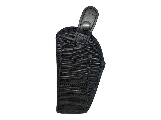 HR 067 pistol case