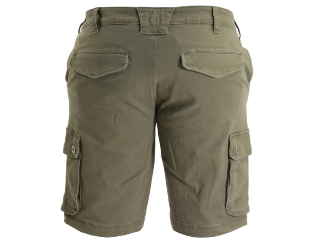Shorts PINEWOOD Serengeti - grün