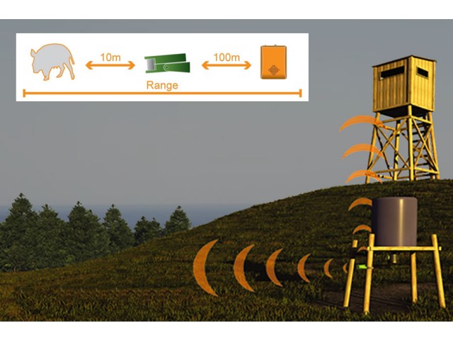 Sensor für die Jagd CALIBER HUNTING