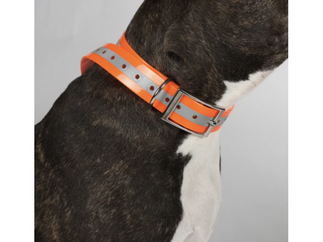 Dog collar HUNDRA Reflective orange - 88 cm