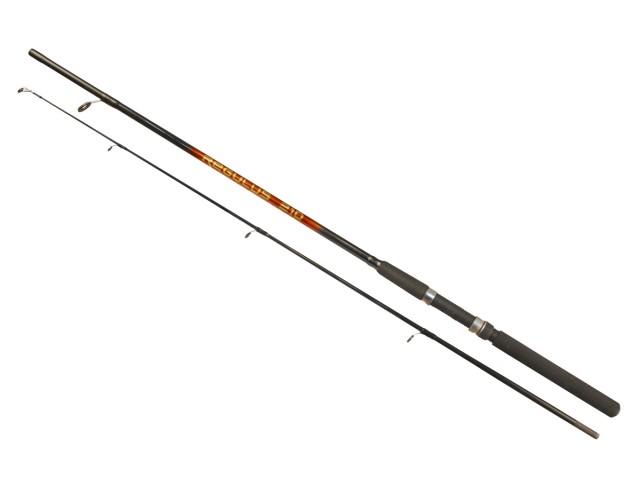 Canna da pesca REGULUS Arno Rod - 1,95m/40-80g