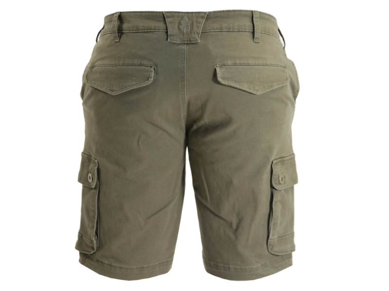 Shorts PINEWOOD Serengeti - grün