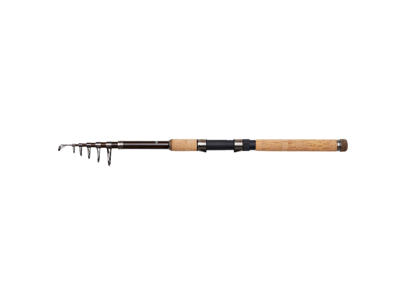Canna da pesca DAM Backbone II    300 cm - 50-100 g
