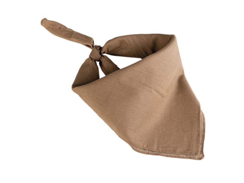 Tappeto 53,5x53,5cm COYOTE