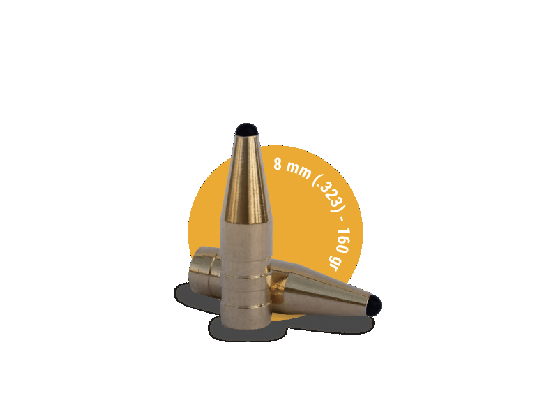 FOX BULLETS & CLASSIC HUNTER - 8 MM ( .323 ) – 180 GR
