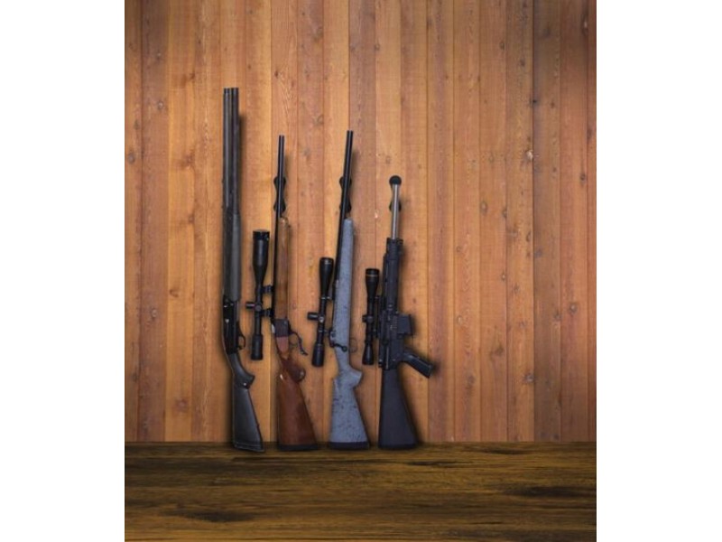 Waffe LOCKDOWN