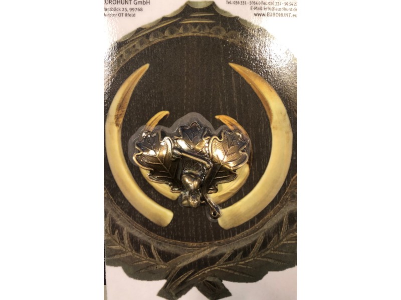 Dekoration für die Trophäe Wildschwein OAK 2 Bronze
