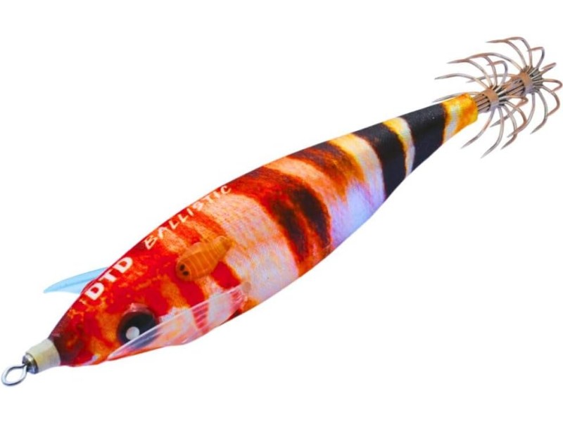 Esche DTD Ball Real Fish 3.0 - Pesce dipinto