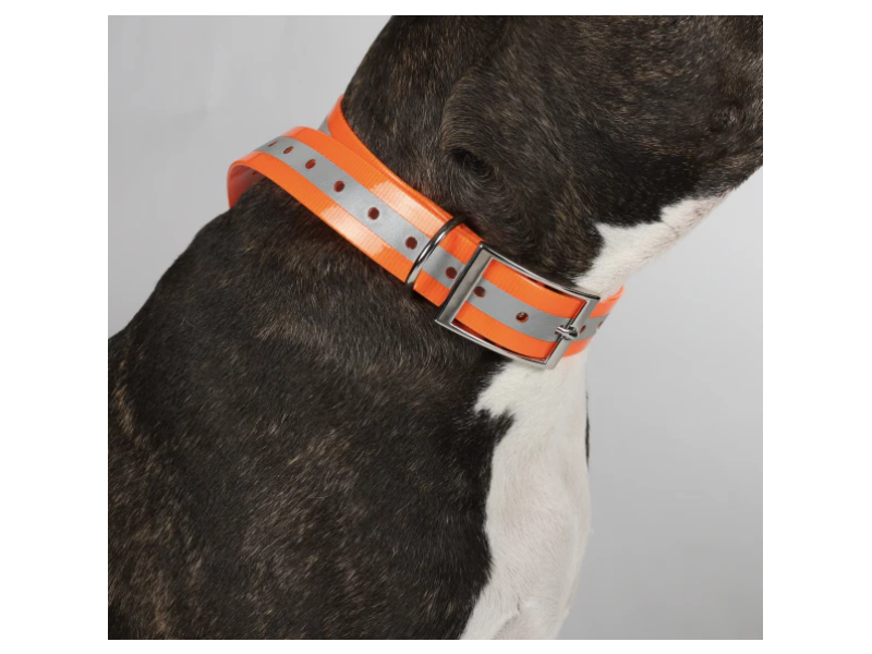 Dog collar HUNDRA Reflective orange - 88 cm