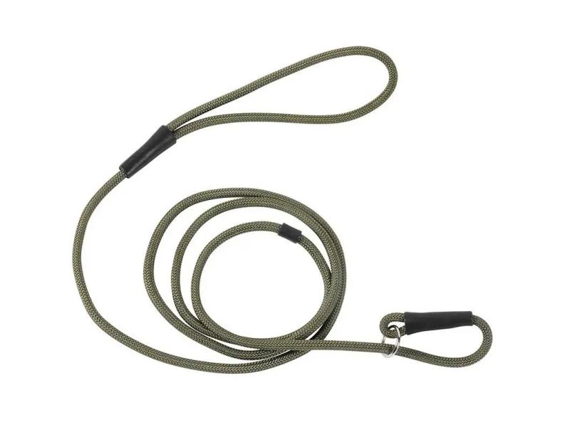 Selbstaufrollende Leine für Hunde ESSENTIEL grün - 2m/7mm