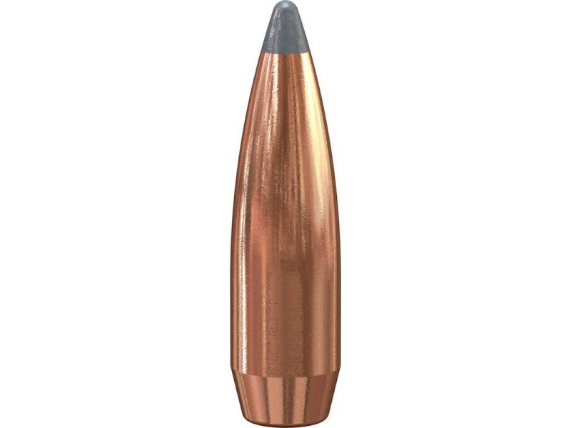 Pallini per ricarica SPEER Boat-Tail Big Game .30 - 11,7g/180gr