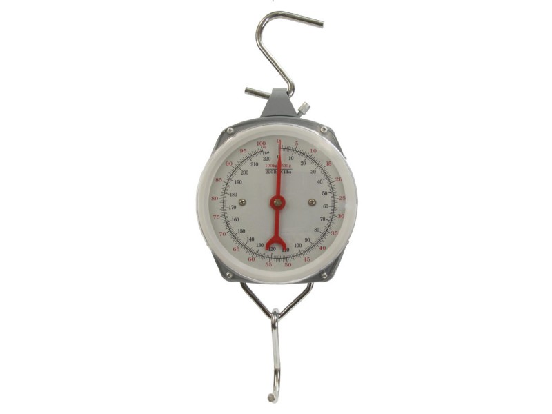 Analog scale up to 100 kg