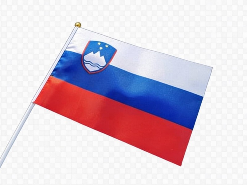 Flagge SLOVENIEN 30x45 cm mit Stiel